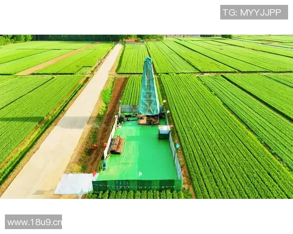 以生态保护为核心推动绿色发展探索与实践路径分析