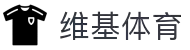 维基体育(集团)体育科技股份有限公司官网